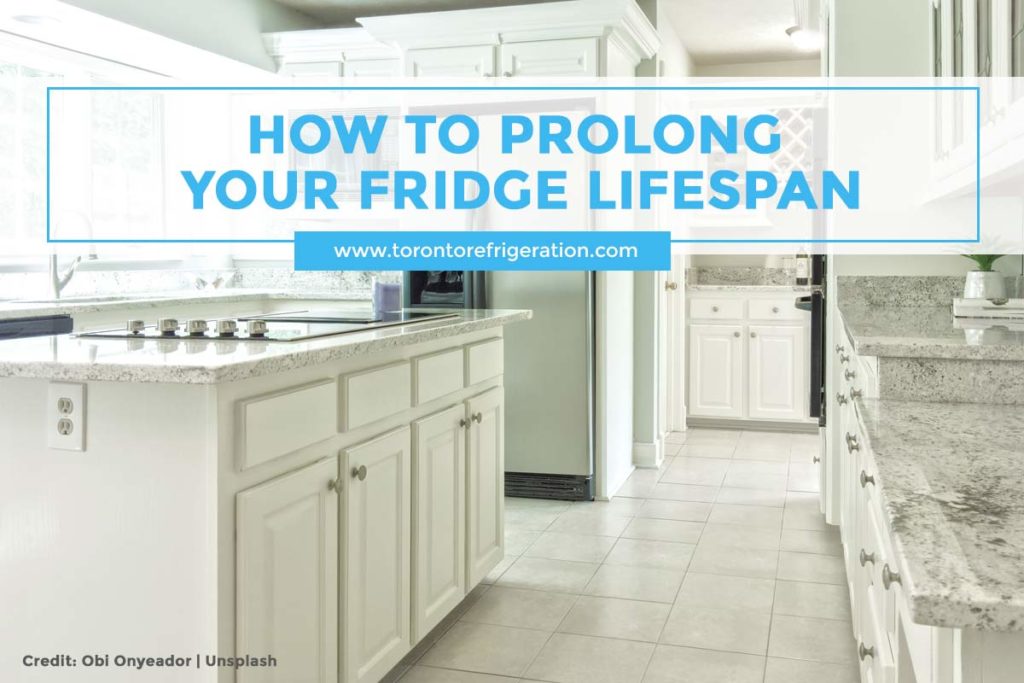 How to Prolong Your Fridge Lifespan