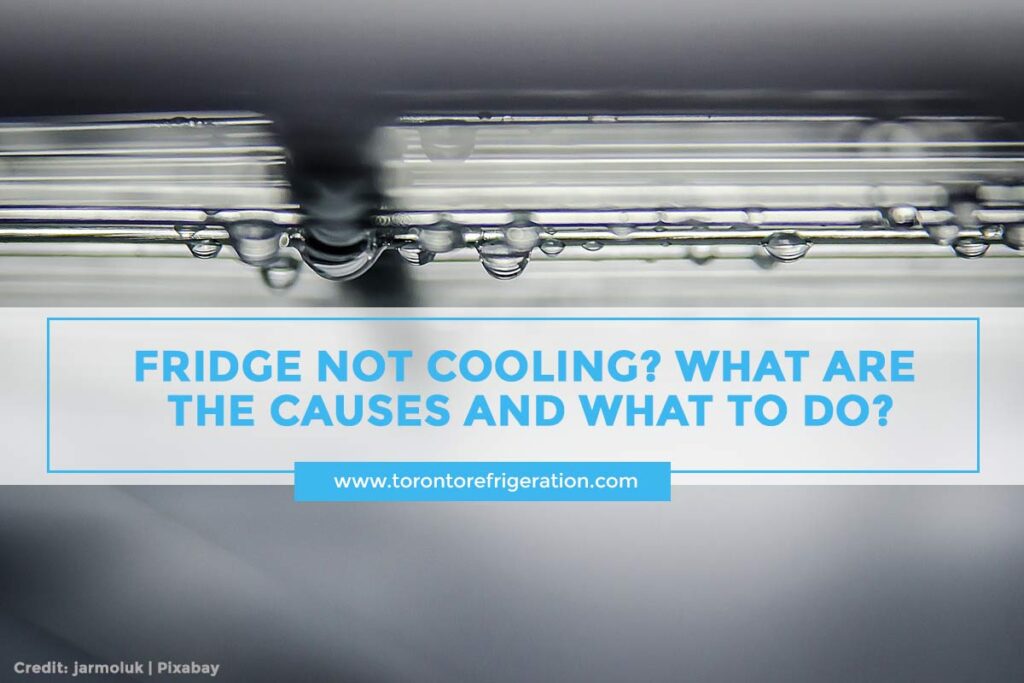 Fridge Not Cooling? What Are the Causes and What to Do?